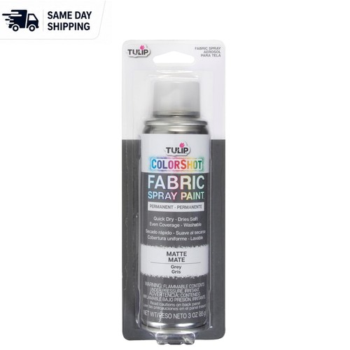 Colorshot 3oz gray spray paint - colorshot,
